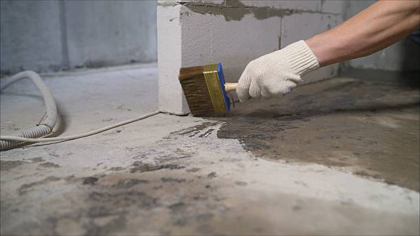 SJ Waterproofing Pros Crawl Space Encapsulation coverage map for South Bloomingville, OH and surrounding area